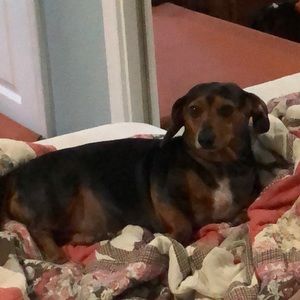 Meet your Posher, Luann